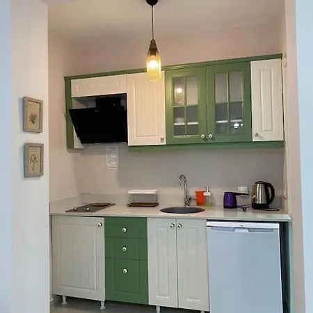 Apartment Olea Tas Acelya A4 Konagi Studio *