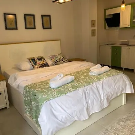 Olea Tas Acelya A4 Konagi Studio Apartment *