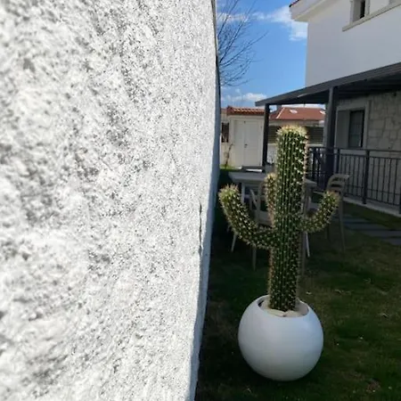 Olea Tas Acelya A4 Konagi Studio Alacati